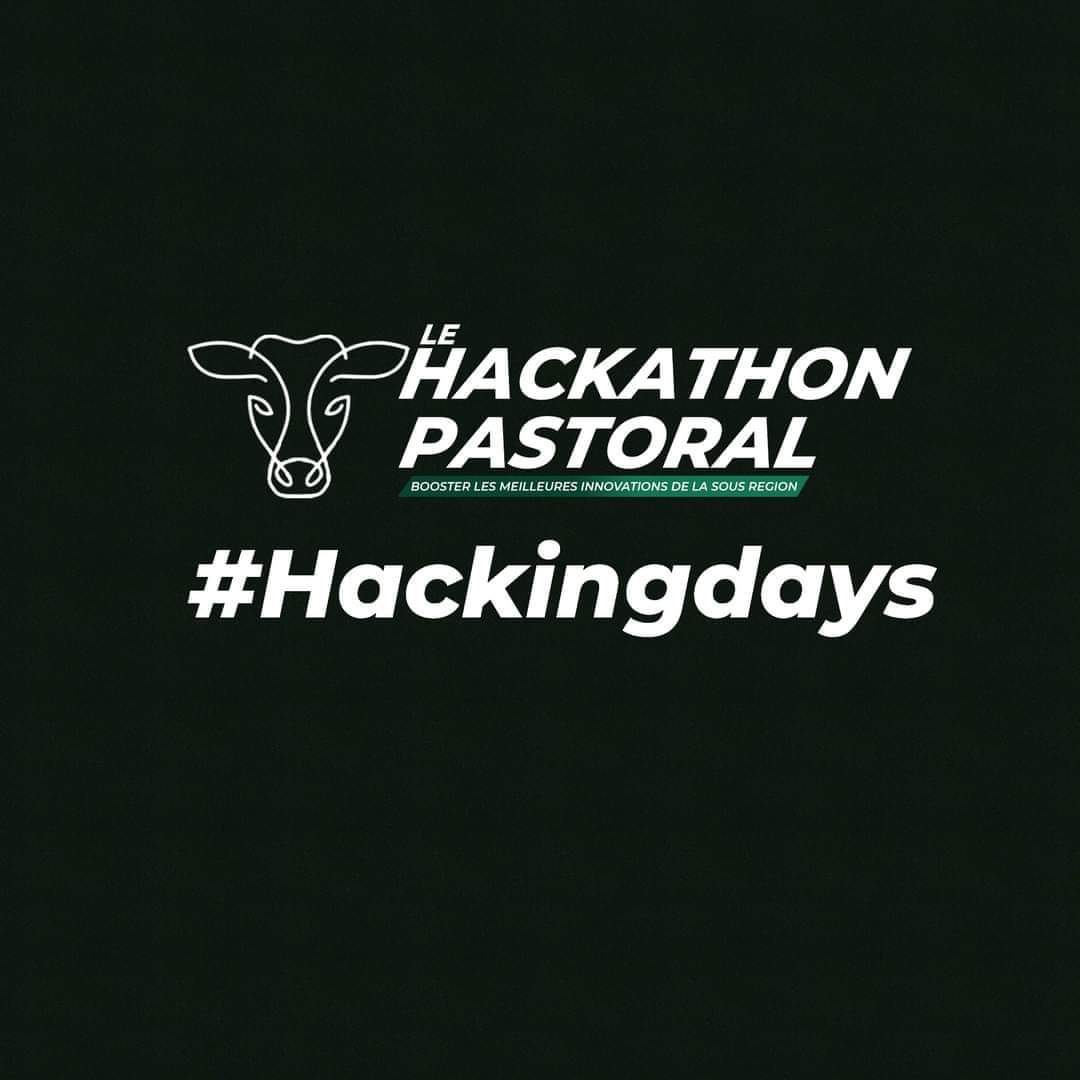 Hackingdays