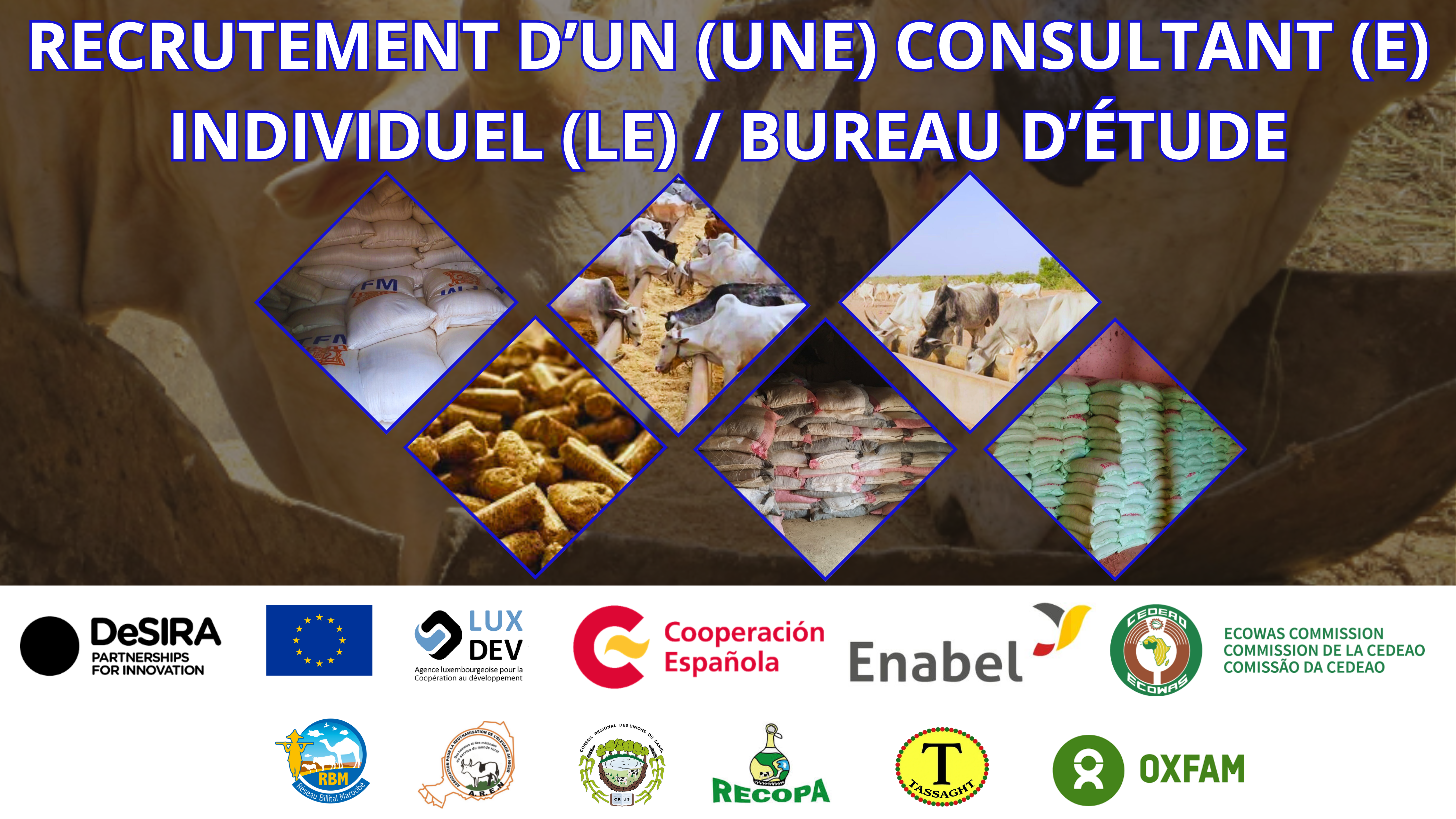 Recrutement d’un(une) consultant(e) individuel(le)bureau d’étude