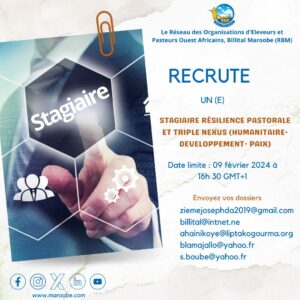 Lire la suite à propos de l’article Annonce de recrutement : stagiaire résilience pastorale et Triple Nexus (Humanitaire-Développement-Paix)