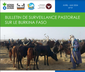 Lire la suite à propos de l’article Bulletin sur la Surveillance Pastorale au Burkina Faso – Avril à Mai 2024