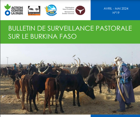 You are currently viewing Bulletin sur la Surveillance Pastorale au Burkina Faso – Avril à Mai 2024