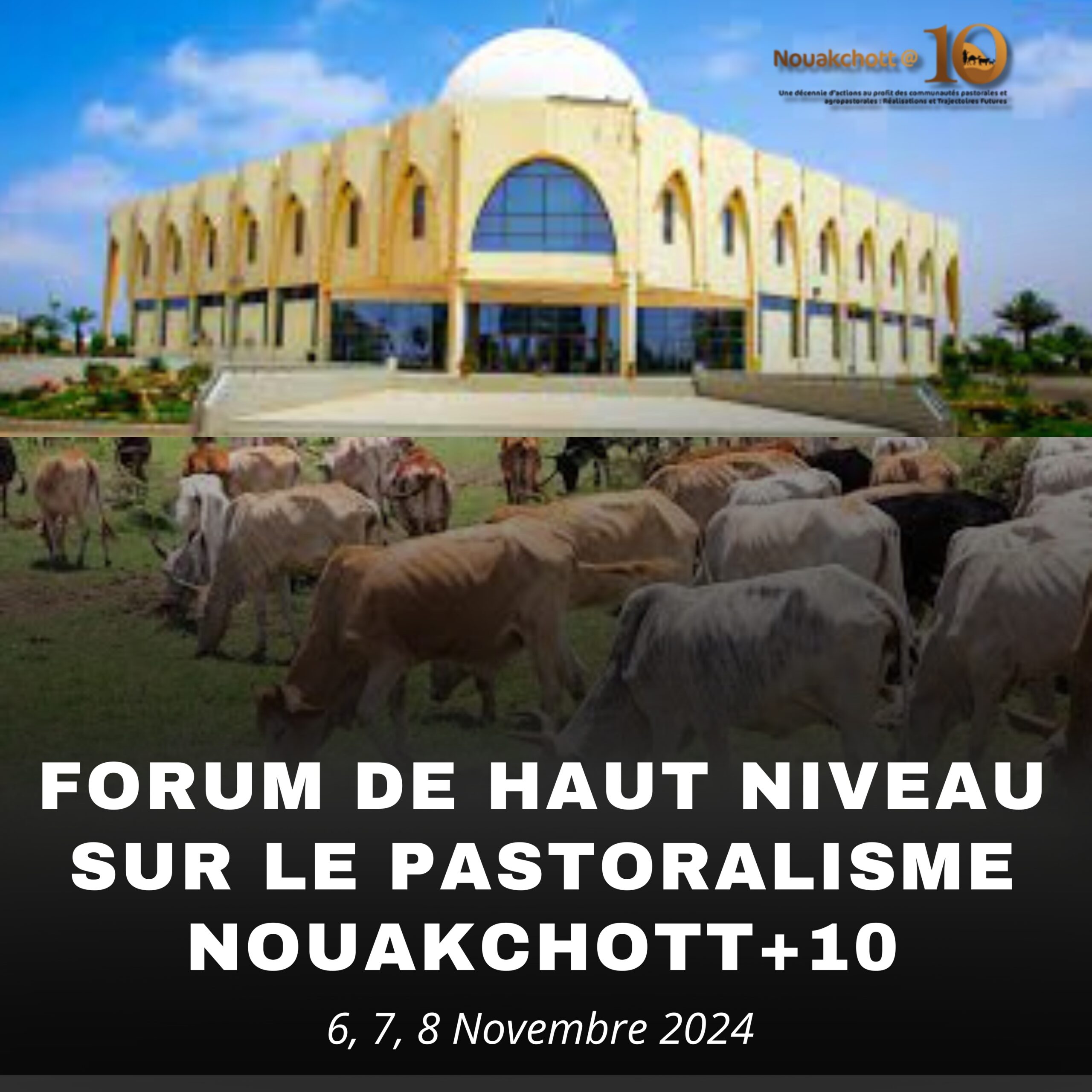 You are currently viewing Nouakchott+10 : Préparation pour le forum