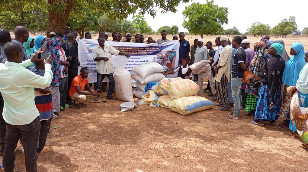 You are currently viewing Distribution de semences agricoles et fourragères (Bassi)